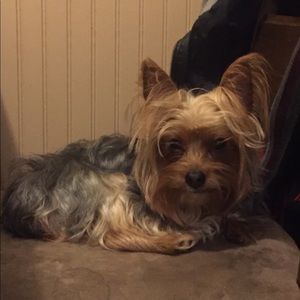 Meet your Posher, Ariana